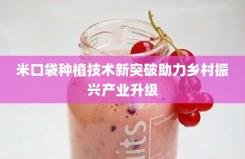 米口袋种植技术新突破助力乡村振兴产业升级