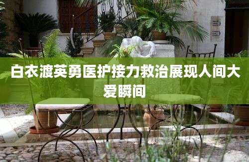 白衣渡英勇医护接力救治展现人间大爱瞬间