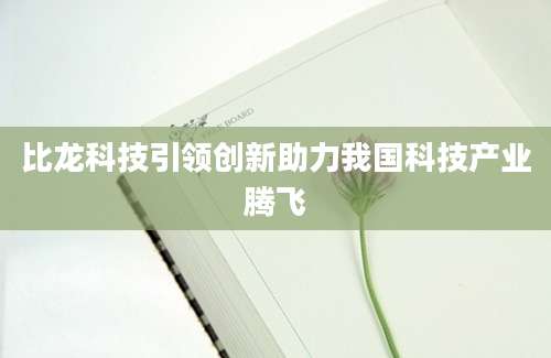比龙科技引领创新助力我国科技产业腾飞
