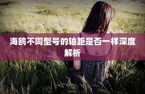 海鸥不同型号的轴距是否一样深度解析