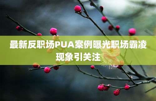 最新反职场PUA案例曝光职场霸凌现象引关注