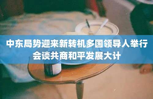 中东局势迎来新转机多国领导人举行会谈共商和平发展大计