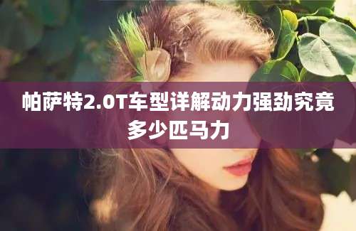 帕萨特2.0T车型详解动力强劲究竟多少匹马力