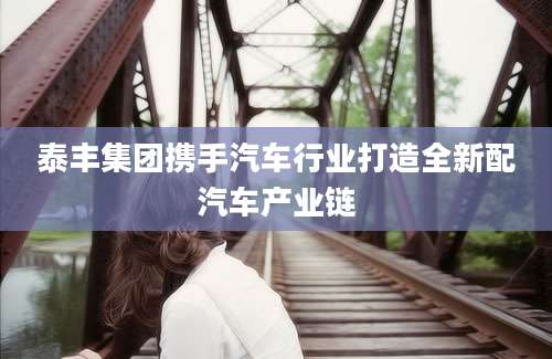 泰丰集团携手汽车行业打造全新配汽车产业链