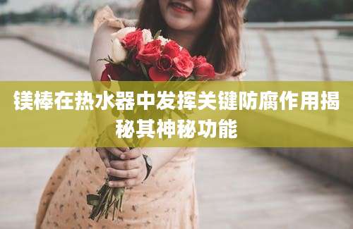 镁棒在热水器中发挥关键防腐作用揭秘其神秘功能