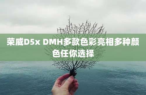 荣威D5x DMH多款色彩亮相多种颜色任你选择