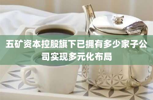 五矿资本控股旗下已拥有多少家子公司实现多元化布局