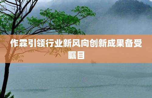 作霖引领行业新风向创新成果备受瞩目