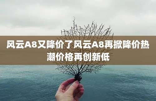 风云A8又降价了风云A8再掀降价热潮价格再创新低