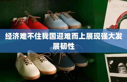 经济难不住我国迎难而上展现强大发展韧性