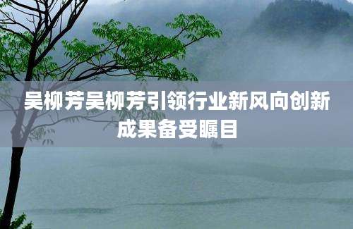 吴柳芳吴柳芳引领行业新风向创新成果备受瞩目