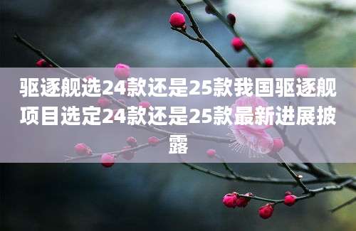 驱逐舰选24款还是25款我国驱逐舰项目选定24款还是25款最新进展披露