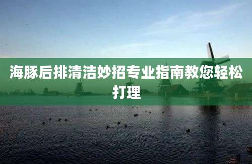 海豚后排清洁妙招专业指南教您轻松打理