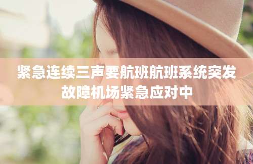 紧急连续三声要航班航班系统突发故障机场紧急应对中