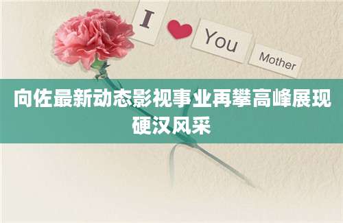 向佐最新动态影视事业再攀高峰展现硬汉风采