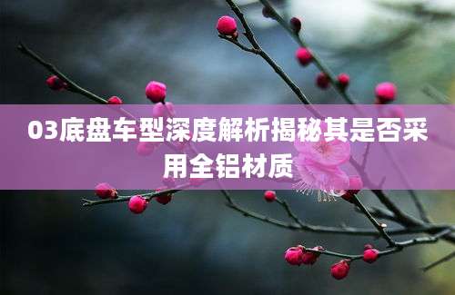 03底盘车型深度解析揭秘其是否采用全铝材质