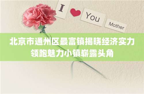 北京市通州区最富镇揭晓经济实力领跑魅力小镇崭露头角