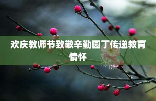 欢庆教师节致敬辛勤园丁传递教育情怀