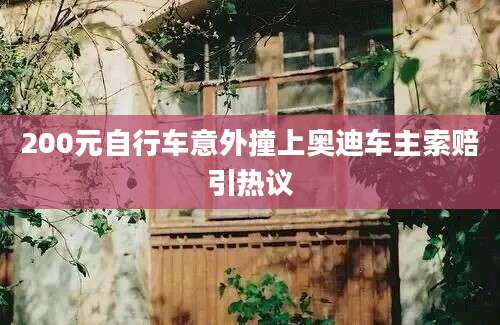 200元自行车意外撞上奥迪车主索赔引热议