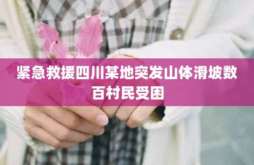 紧急救援四川某地突发山体滑坡数百村民受困