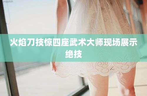 火焰刀技惊四座武术大师现场展示绝技
