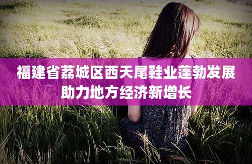 福建省荔城区西天尾鞋业蓬勃发展助力地方经济新增长