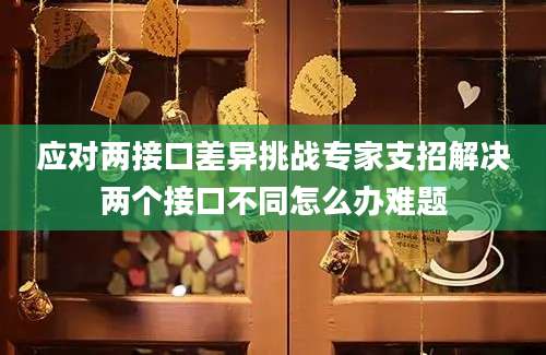 应对两接口差异挑战专家支招解决两个接口不同怎么办难题