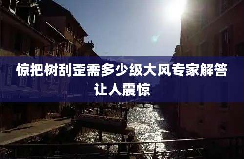 惊把树刮歪需多少级大风专家解答让人震惊