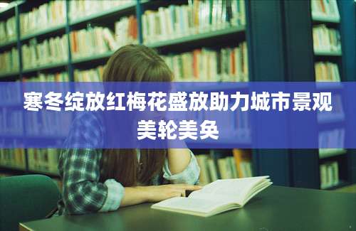 寒冬绽放红梅花盛放助力城市景观美轮美奂