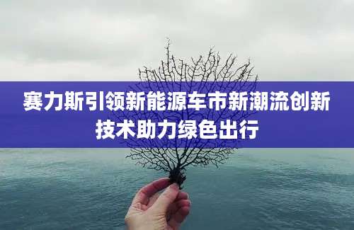 赛力斯引领新能源车市新潮流创新技术助力绿色出行