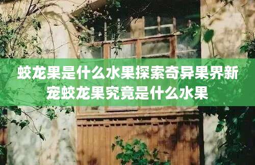 蛟龙果是什么水果探索奇异果界新宠蛟龙果究竟是什么水果