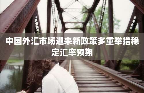 中国外汇市场迎来新政策多重举措稳定汇率预期