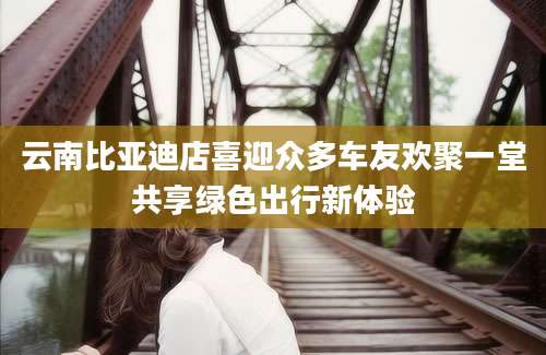 云南比亚迪店喜迎众多车友欢聚一堂共享绿色出行新体验