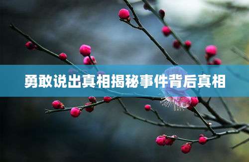 勇敢说出真相揭秘事件背后真相