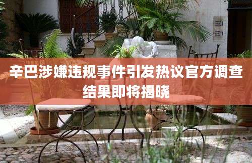 辛巴涉嫌违规事件引发热议官方调查结果即将揭晓
