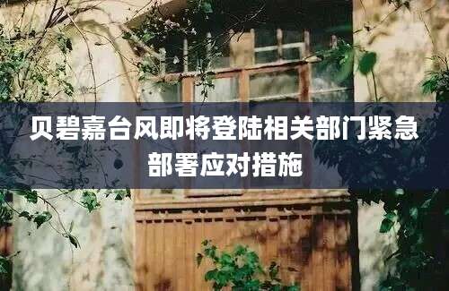 贝碧嘉台风即将登陆相关部门紧急部署应对措施