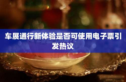 车展通行新体验是否可使用电子票引发热议