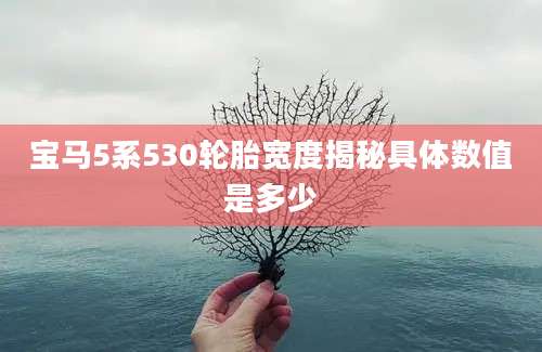 宝马5系530轮胎宽度揭秘具体数值是多少