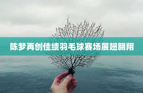 陈梦再创佳绩羽毛球赛场展翅翱翔