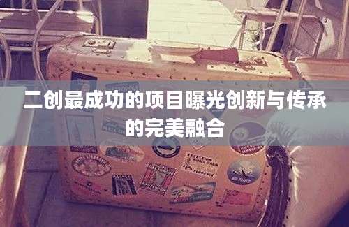 二创最成功的项目曝光创新与传承的完美融合