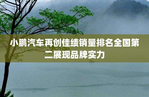 小鹏汽车再创佳绩销量排名全国第二展现品牌实力