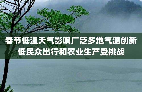 春节低温天气影响广泛多地气温创新低民众出行和农业生产受挑战