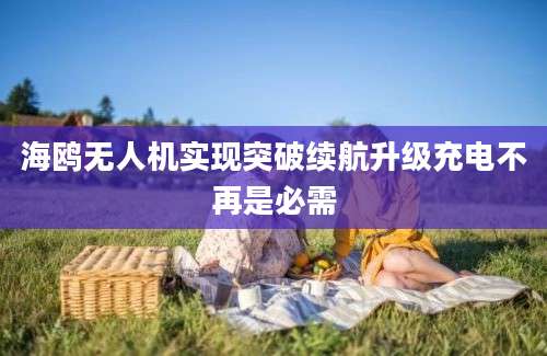 海鸥无人机实现突破续航升级充电不再是必需