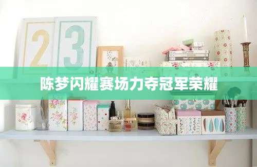 陈梦闪耀赛场力夺冠军荣耀