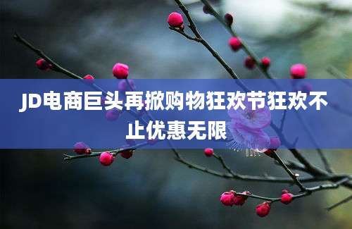 JD电商巨头再掀购物狂欢节狂欢不止优惠无限