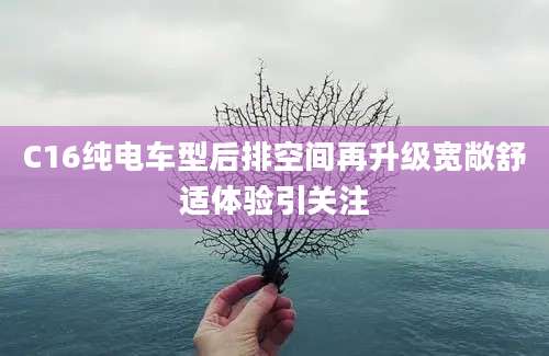 C16纯电车型后排空间再升级宽敞舒适体验引关注