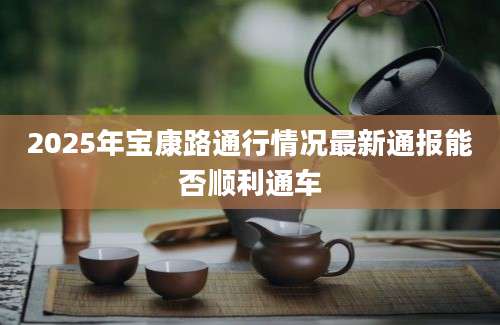 2025年宝康路通行情况最新通报能否顺利通车