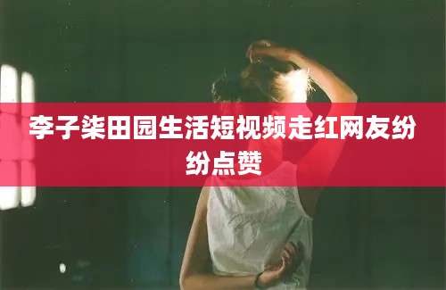 李子柒田园生活短视频走红网友纷纷点赞