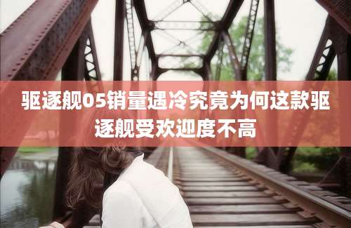驱逐舰05销量遇冷究竟为何这款驱逐舰受欢迎度不高
