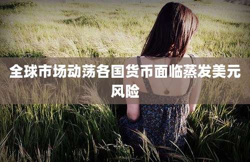 全球市场动荡各国货币面临蒸发美元风险